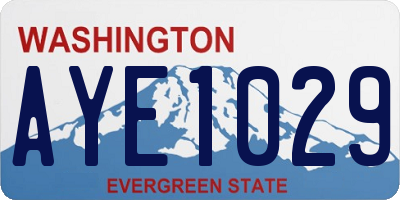 WA license plate AYE1029