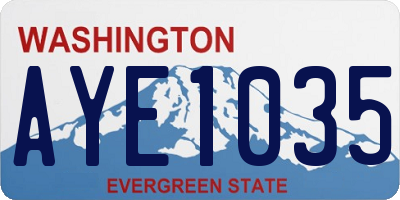 WA license plate AYE1035