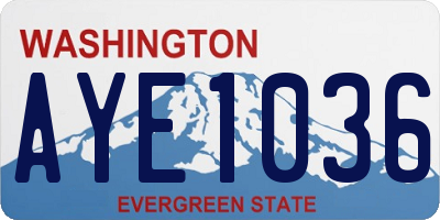 WA license plate AYE1036