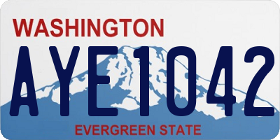 WA license plate AYE1042