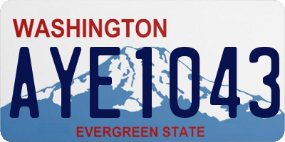 WA license plate AYE1043