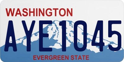 WA license plate AYE1045