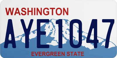 WA license plate AYE1047
