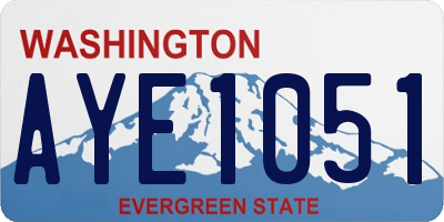 WA license plate AYE1051