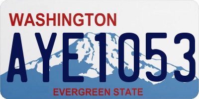WA license plate AYE1053