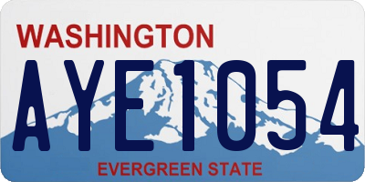 WA license plate AYE1054