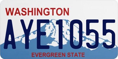 WA license plate AYE1055