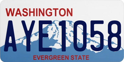 WA license plate AYE1058