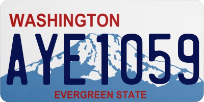 WA license plate AYE1059
