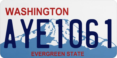 WA license plate AYE1061