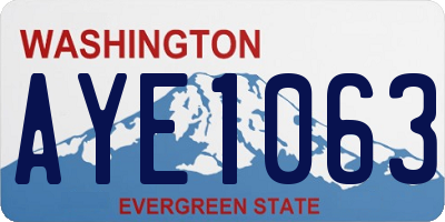 WA license plate AYE1063