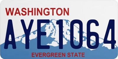 WA license plate AYE1064