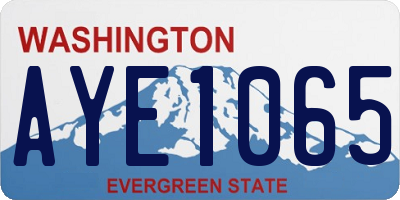WA license plate AYE1065