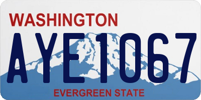 WA license plate AYE1067