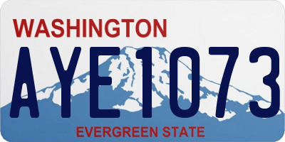 WA license plate AYE1073