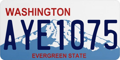 WA license plate AYE1075