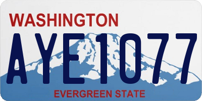 WA license plate AYE1077