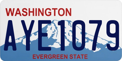 WA license plate AYE1079