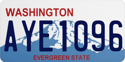 WA license plate AYE1096
