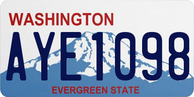 WA license plate AYE1098