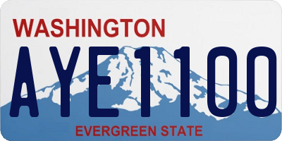 WA license plate AYE1100