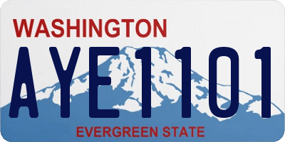 WA license plate AYE1101