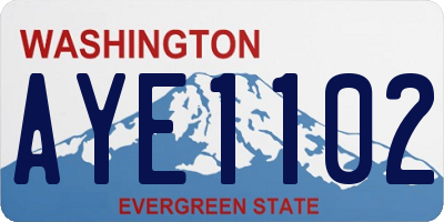 WA license plate AYE1102