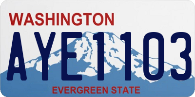 WA license plate AYE1103