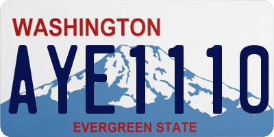 WA license plate AYE1110