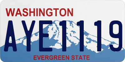 WA license plate AYE1119