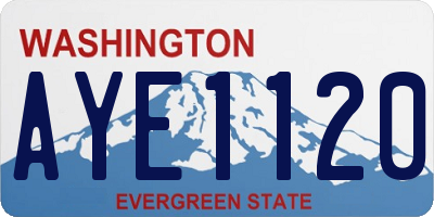 WA license plate AYE1120