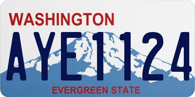 WA license plate AYE1124