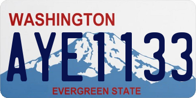 WA license plate AYE1133