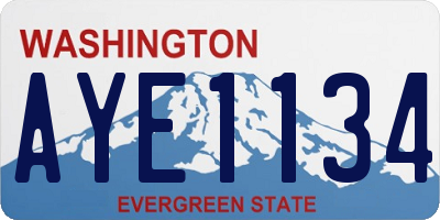 WA license plate AYE1134