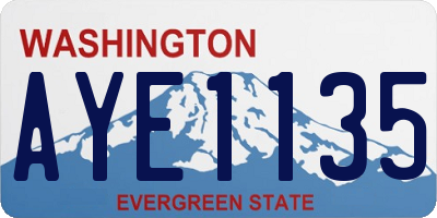 WA license plate AYE1135