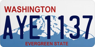 WA license plate AYE1137