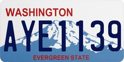 WA license plate AYE1139