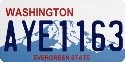 WA license plate AYE1163