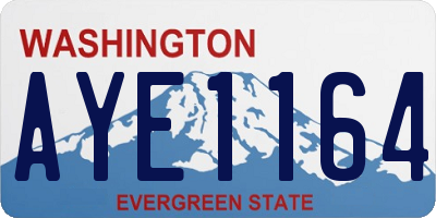 WA license plate AYE1164