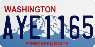 WA license plate AYE1165
