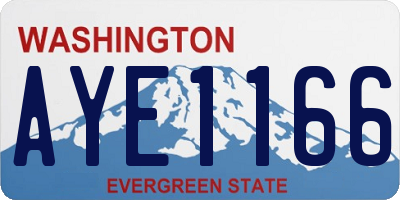 WA license plate AYE1166