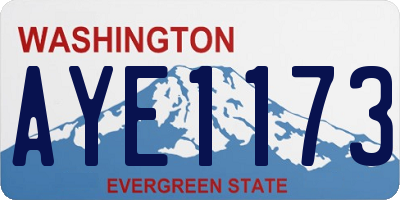 WA license plate AYE1173