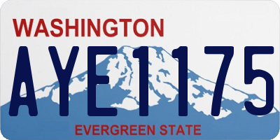 WA license plate AYE1175