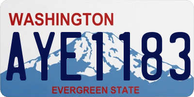 WA license plate AYE1183