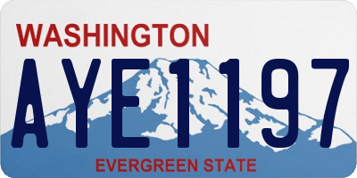 WA license plate AYE1197