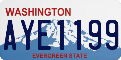WA license plate AYE1199