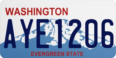 WA license plate AYE1206