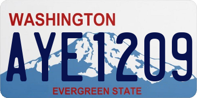 WA license plate AYE1209