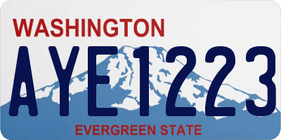WA license plate AYE1223