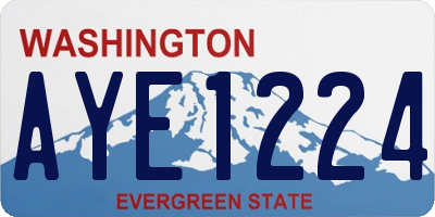 WA license plate AYE1224
